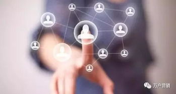 碩貝德科技攜手萬戶網(wǎng)絡(luò)，共拓軟件開發(fā)新篇章